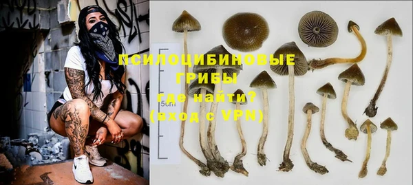 амф Нефтекумск