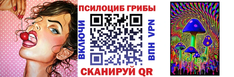 закладка Ступино Псилоцибиновые грибы мицелий