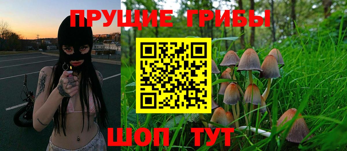 Псилоцибиновые грибы Magic Shrooms Ступино