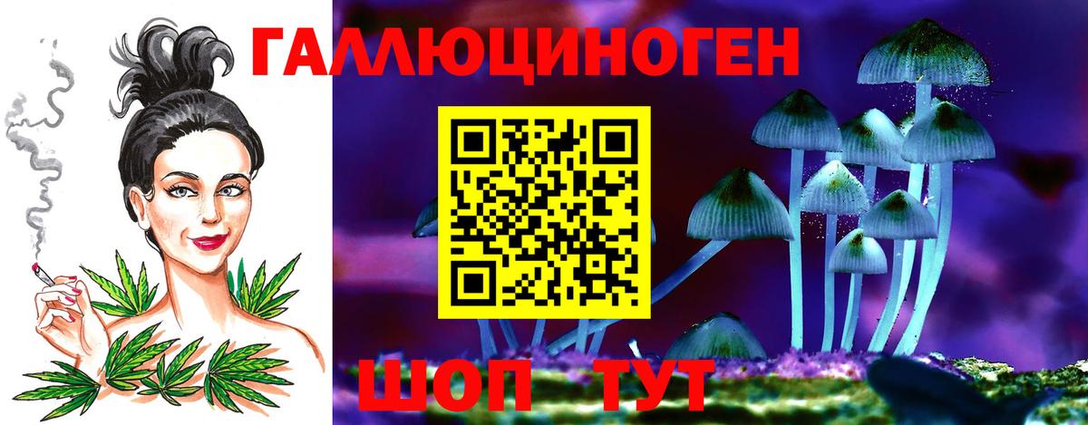 Псилоцибиновые грибы Psilocybe  Псилоцибиновые грибы Psilocybine cubensis  Ступино 